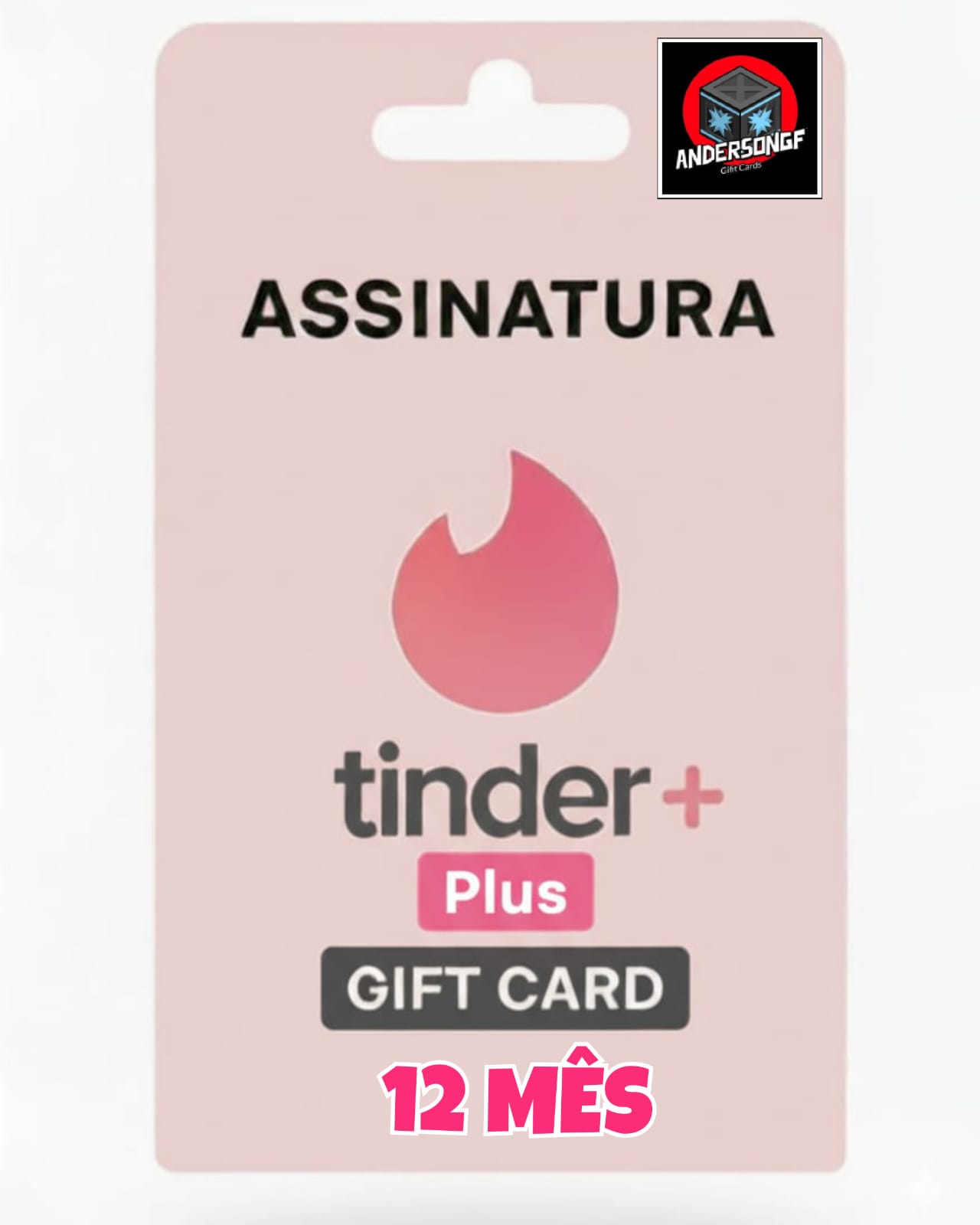 Tinder Plus 12 Mês